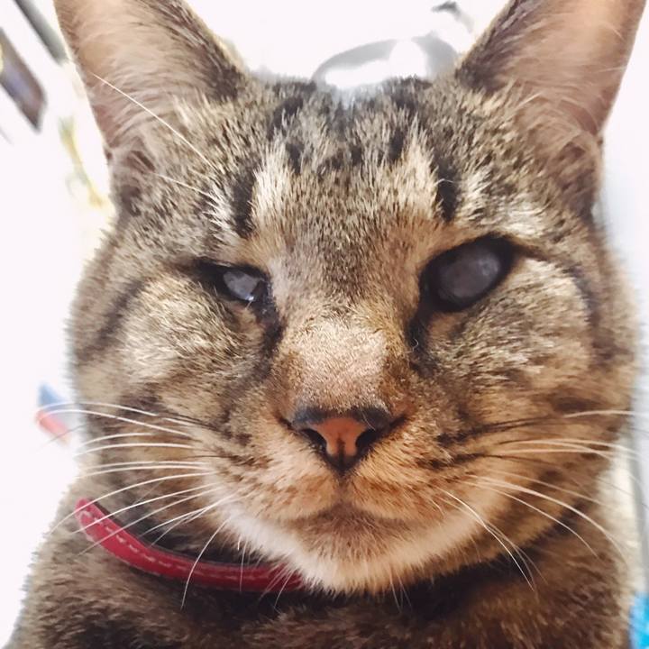 Dc73be57 c0f2 48dd b494 6d71fcfe90b3