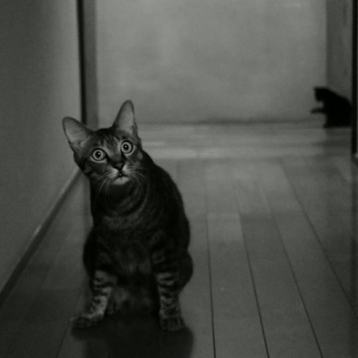 Dc73c9a7 d9f3 4b8f 974b 4ad441ab8494