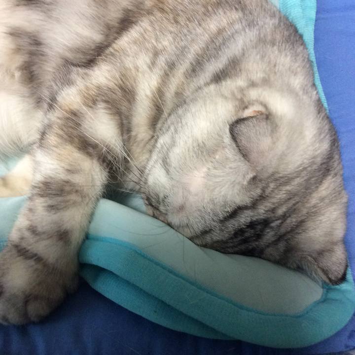 Dc73fd07 0477 4f9d 8a99 164b24a2cc1a