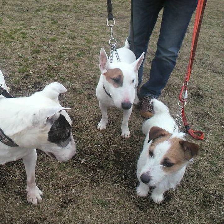 Dc740bdb cab3 4e40 8c5d a64722349c52