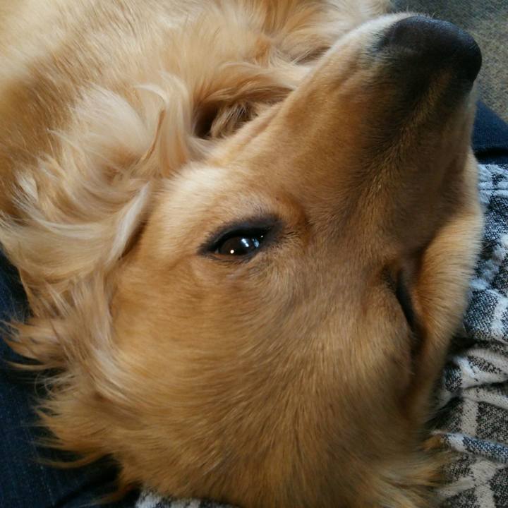 Dc74ebb9 4481 468d ad7a ac43fa2b09b8