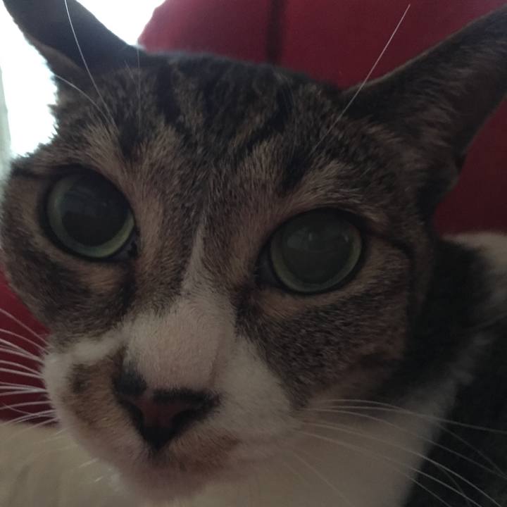 Dc755e0d dda0 4835 80e7 dc6faa3f1fbe