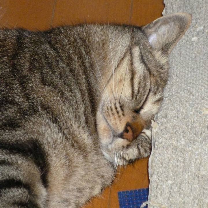 Dc76ea25 a97d 4a96 83a1 7e2af4be5b88