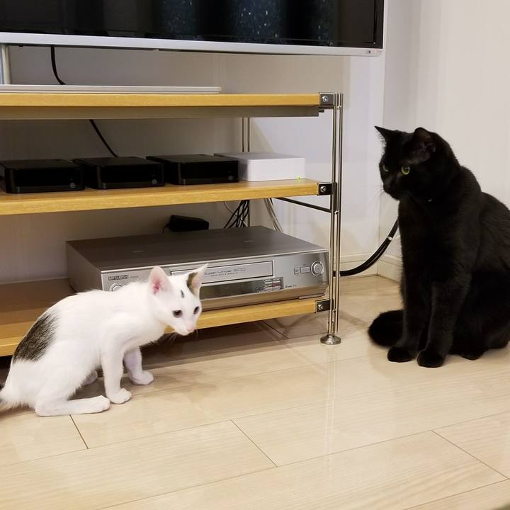 Dc7724b2 a77f 4a7c 81d8 efcdad563f47