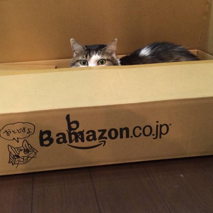 Dc774f98 68b2 49f2 bfea 5c44c553d75e