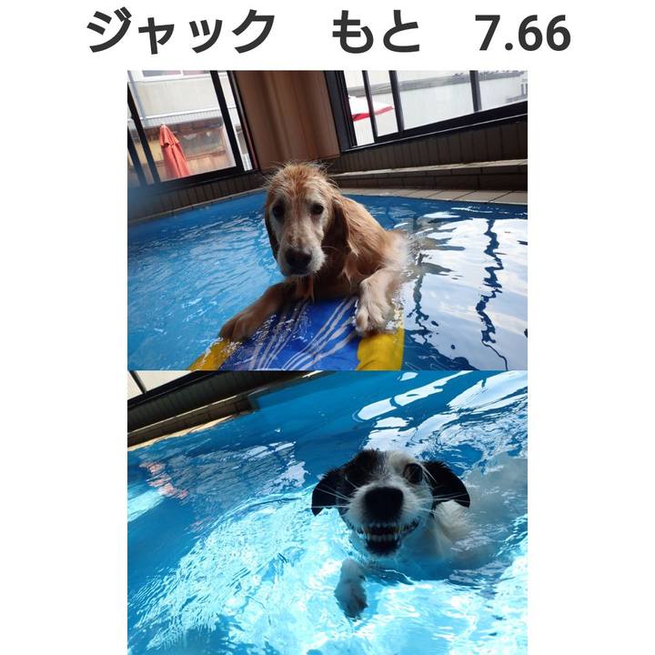 Dc78eaec 1600 4de0 8e5a a4960ca2a781