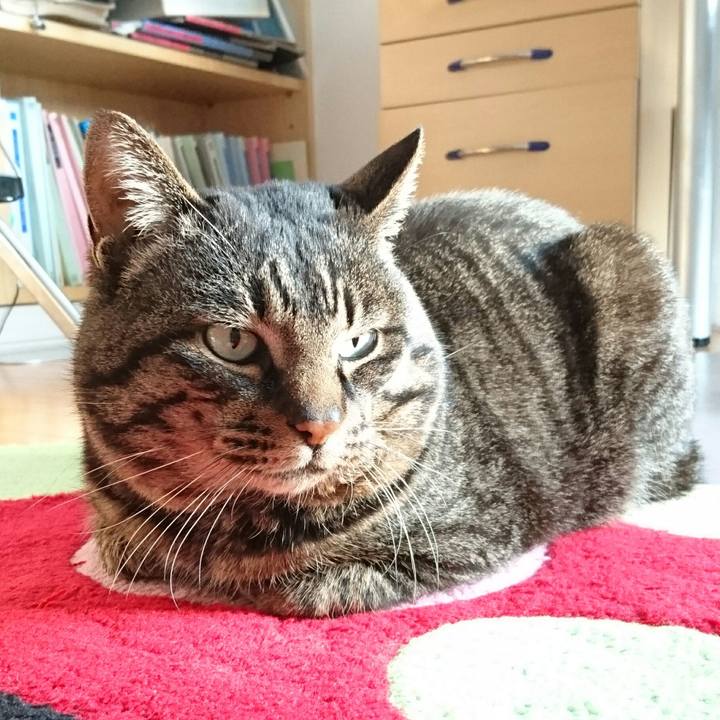 Dc792903 f1df 41ab b3bf 1164d72e3cf2