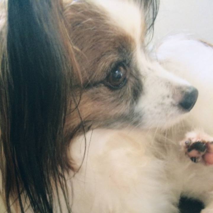 Dc793ab1 71ae 4320 b292 2bcfbe659672