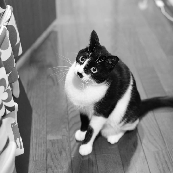 Dc7954d8 a5e4 41f7 84c5 9a2d619d0f59