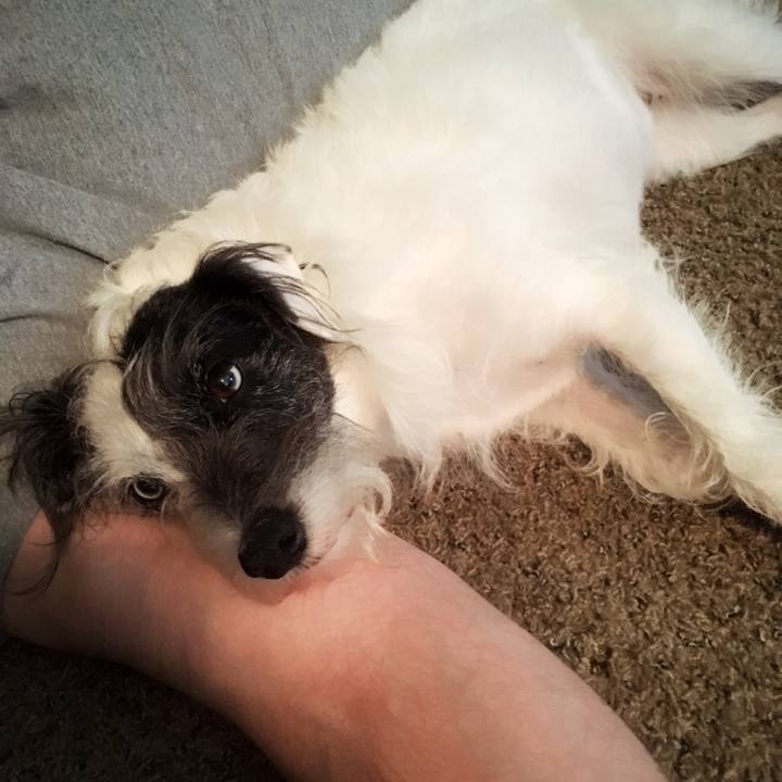 Dc795e28 99ce 432f 855f ff575524e0db