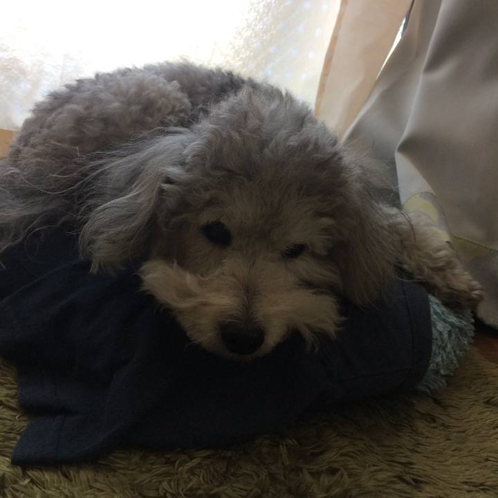 Dc7a0042 9e20 4a69 acd7 702ab4235110