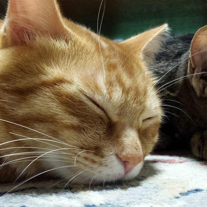 Dc7a5f00 4047 4992 beaa 03a6a0dd490e