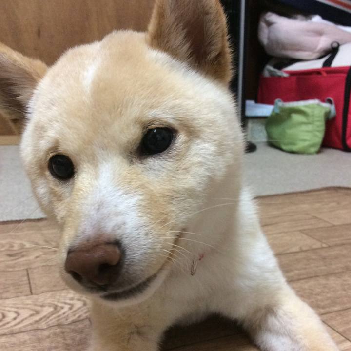 Dc7a71e0 1bfe 4310 a65e c2b0e62f2784