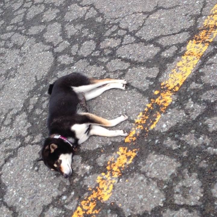 Dc7a7492 b870 489c 8682 1b912b8405b6