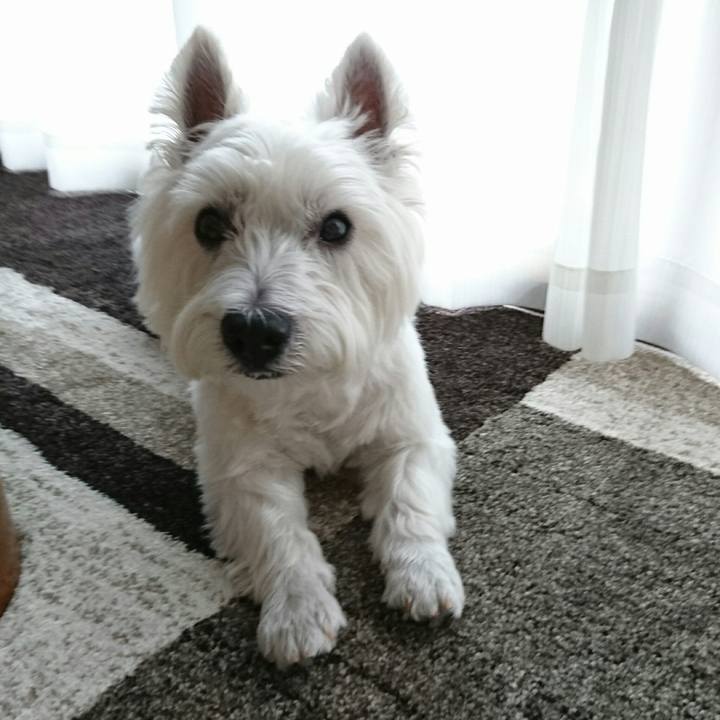 Dc7a8d80 4f2e 43b8 ad29 06c2f6019205