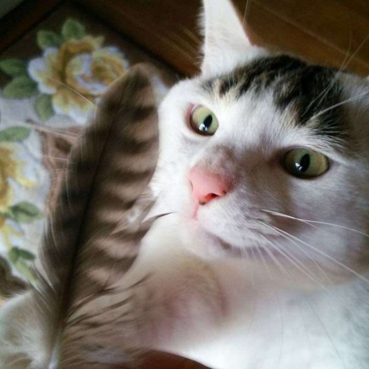 Dc7ab9ab 9a64 44e5 ad74 3c96df65eb0b