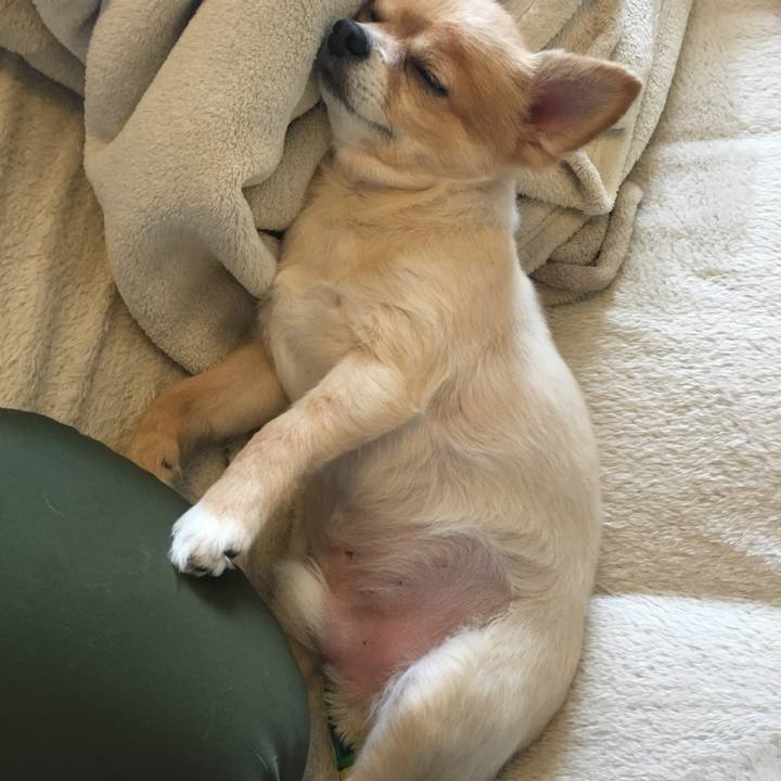 Dc7abe48 7cd9 4a5d 9edc b2c62f32e39d