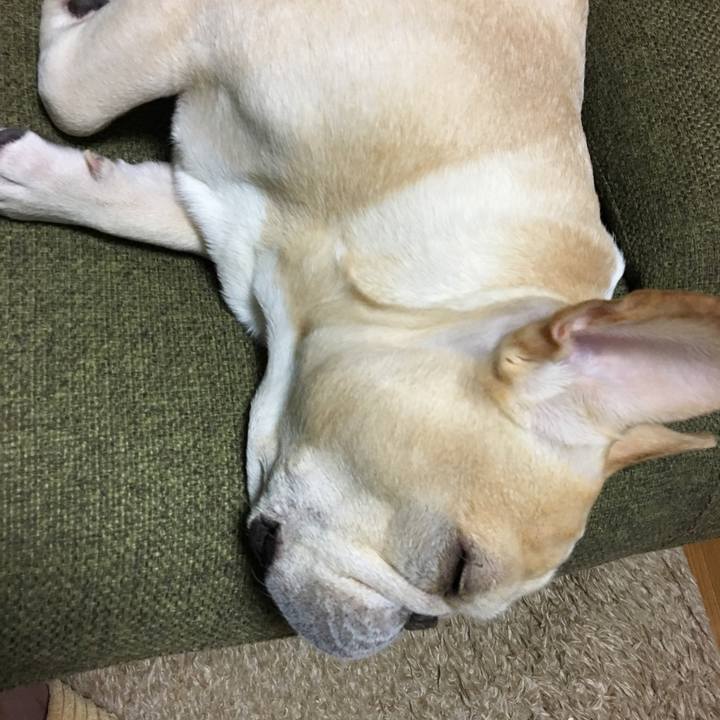 Dc7b2770 4564 49b9 8e3c e505e84f948a