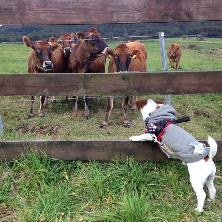 Dc7c5b26 f34b 46cb a865 7860f6eb04e3