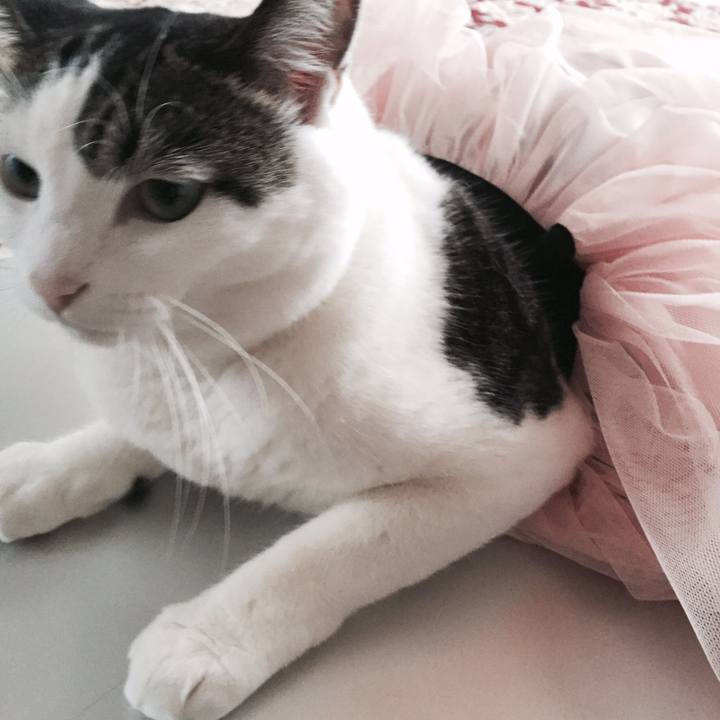 Dc7caadf 2387 4e8a a2aa efedf3c330bc