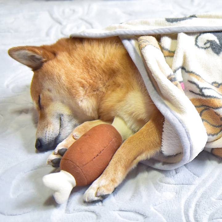 Dc7d6b4d 53b8 4804 a167 c74975854e07