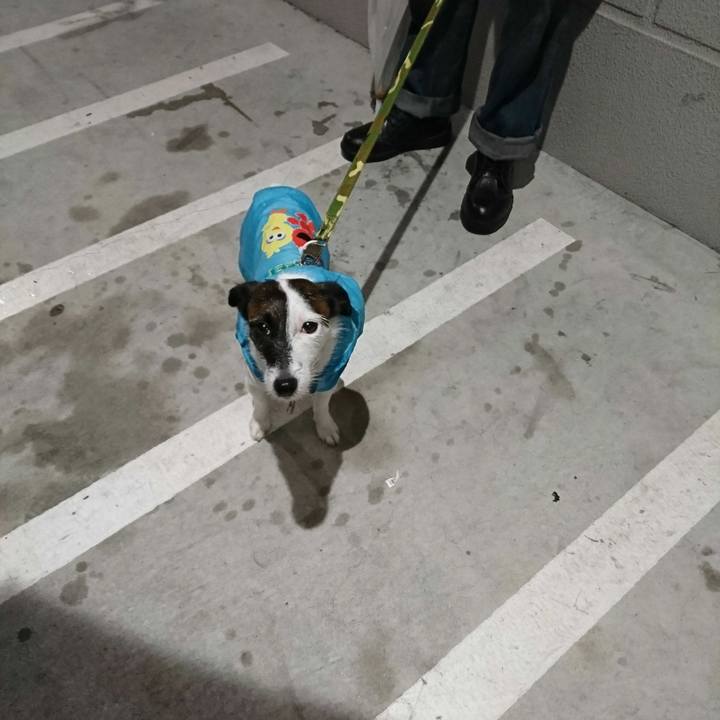 Dc7e5dc0 5283 47f5 9c06 a132fc7eb8c6