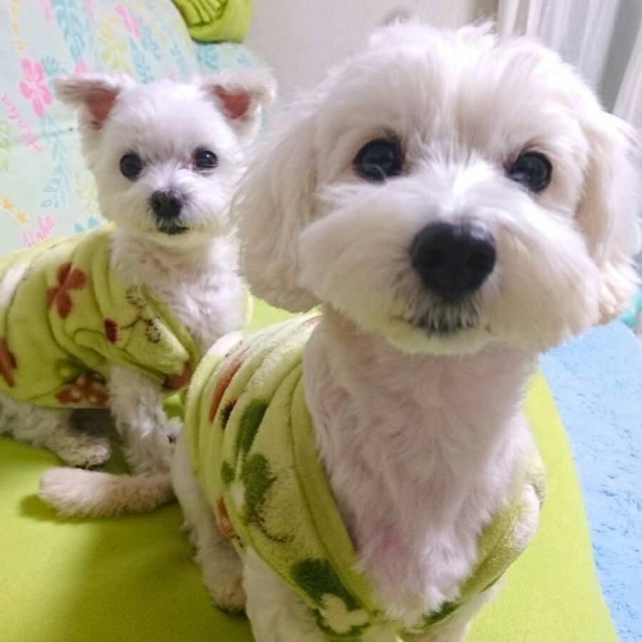 Dc7e6817 8d04 4fc0 a008 c0e10d2df595