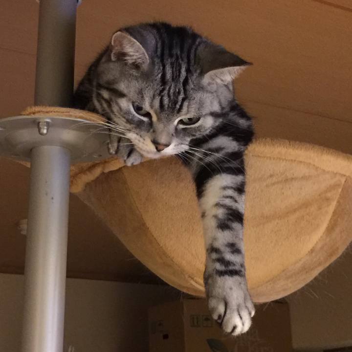 Dc7e9a67 dea2 4d9b bee0 35c03692ddfe