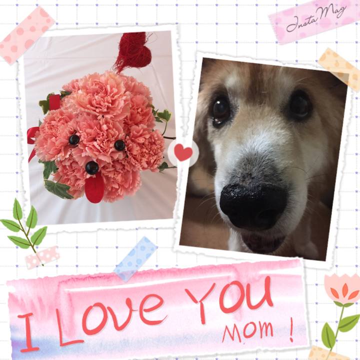 Dc7ed58a 45ef 4c7a 908c 03602a471fbd