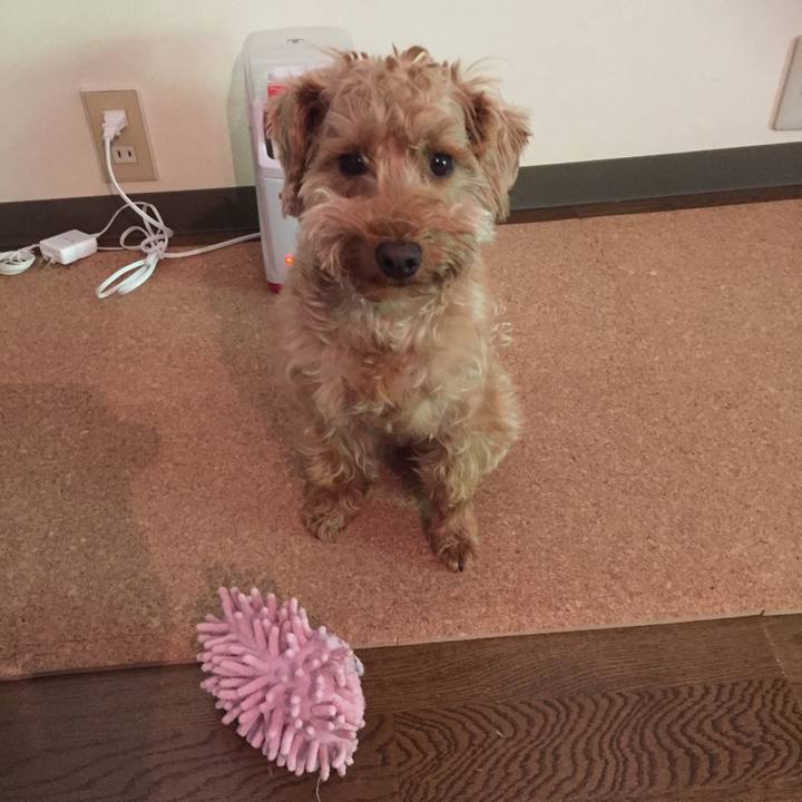 Dc7f2962 5d28 464a 8e06 f2a4aefabd13