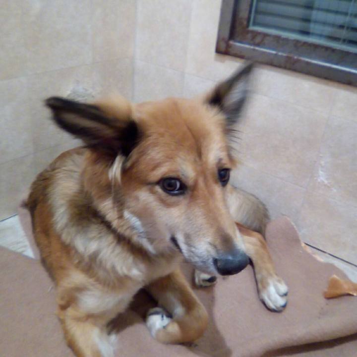 Dc7f4543 989f 432e 88c9 a1dfa6fe8e67