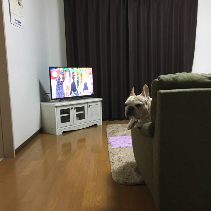 Dc7f9915 ea81 47c4 b769 a87b6944b1fb