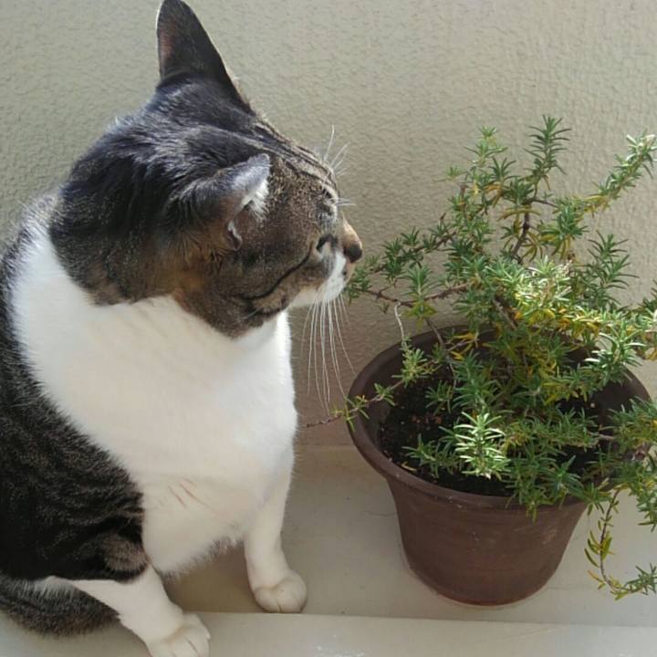 Dc807ed3 7e03 4801 ad81 22116acce5b1