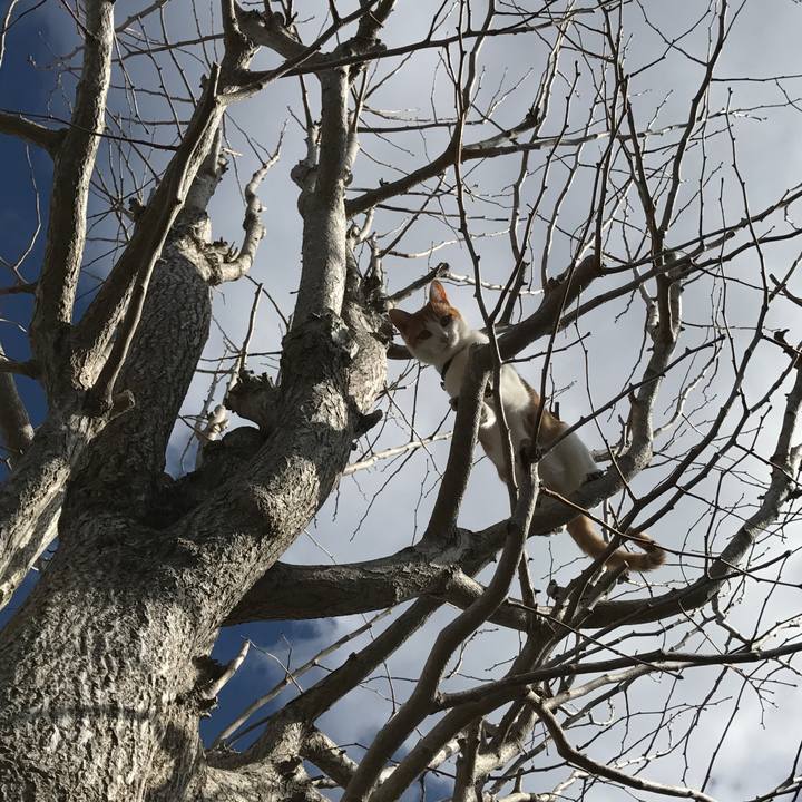 Dc8105cd 0526 4985 ae20 22b337804c7b