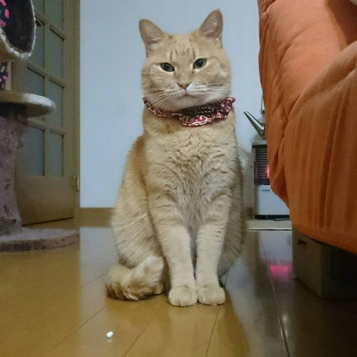 Dc81af04 635b 4434 a6a6 8667d5ea98fa