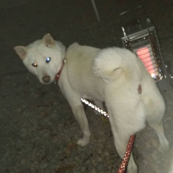 Dc81e3c5 a03a 4d24 adbd 50ba8f1b0228