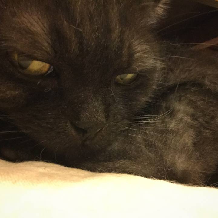 Dc829399 9f28 403d ae1d 7f5989cc5441