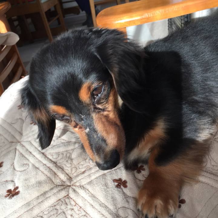 Dc82bdeb 21b1 4ab3 a911 35e75db1f543