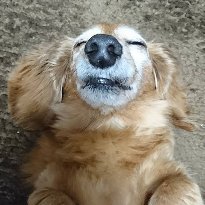 Dc82ca0b 2525 48f0 88b0 1357149cc6be