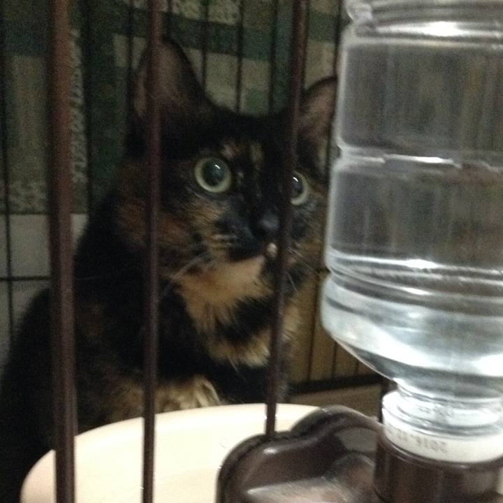 Dc8372d1 580b 4373 b234 b35de8694d08