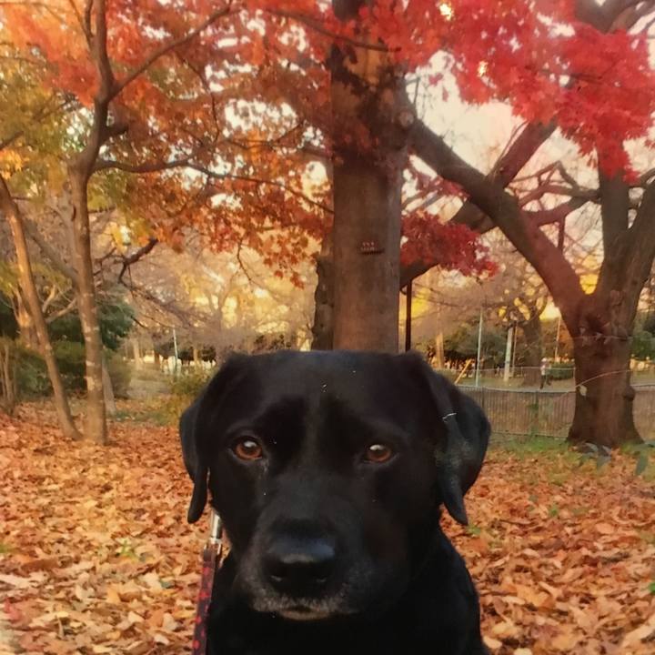 Dc843b1c 6eac 4e3d aa56 9c5059affe15