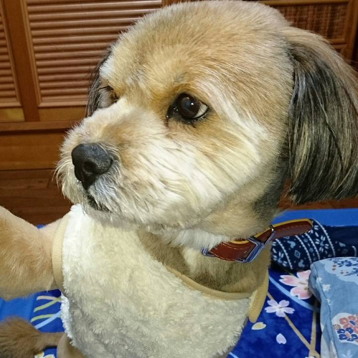 Dc8474e0 cc99 4e4c 852e 2d8e2439e740