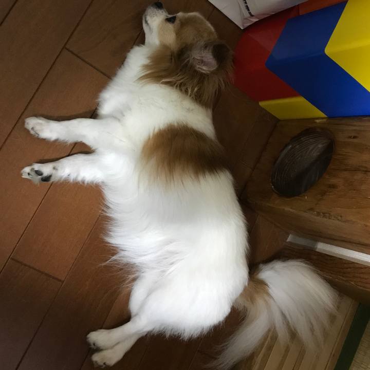 Dc84c1e3 ec48 4e92 8589 9c5ce54d76f5