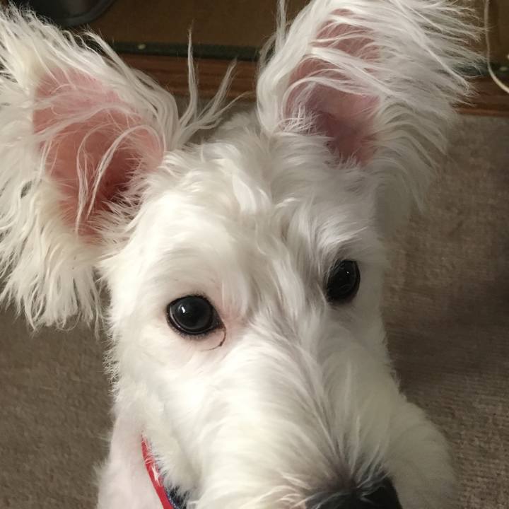 Dc852330 32e2 4635 a402 950349f70af6