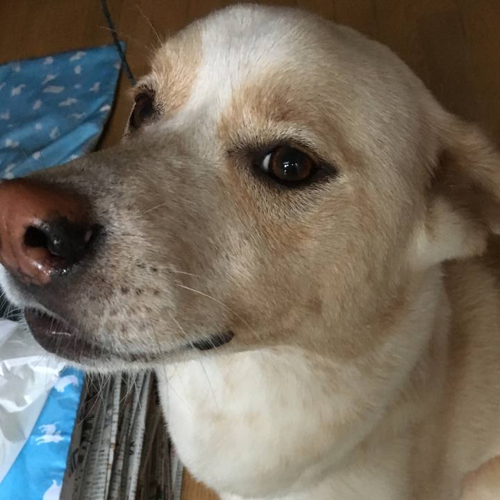 Dc85a266 d3be 441b 99fa c347b913687d