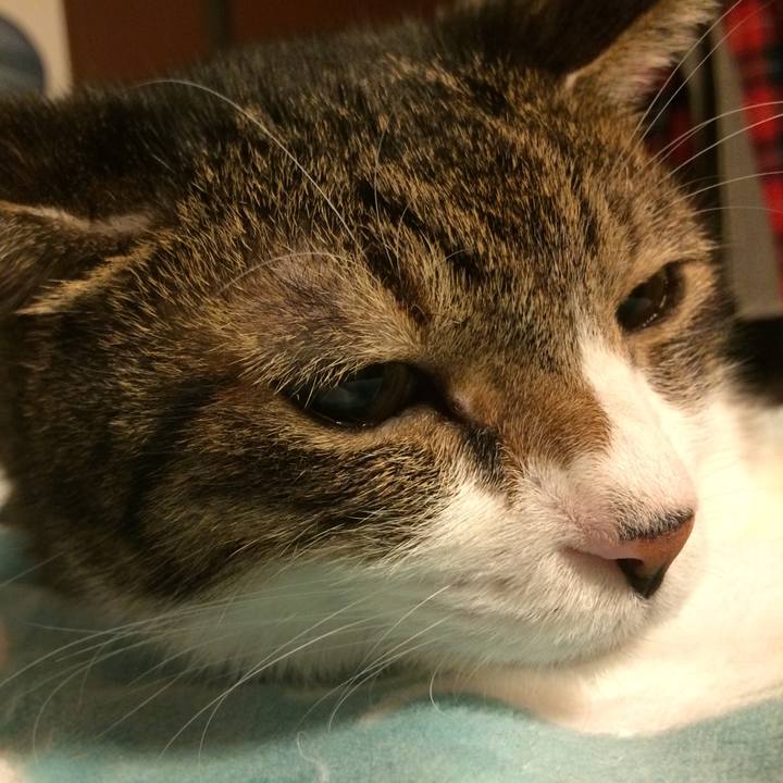 Dc85fca2 0784 4816 bfff d8228cbde1d1