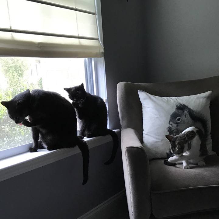 Dc861a1b 36a1 496f b415 4db2fda74d27