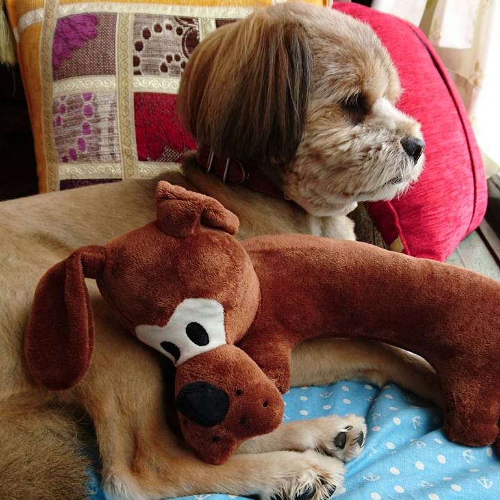 Dc873abe d7ae 4163 a82e 474f47dbe81b