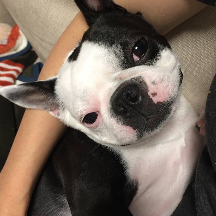 Dc877804 26c0 4e0f 9303 bc191e9e3374