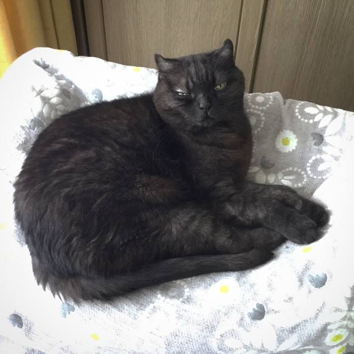 Dc87fa0f bebc 472d 96c4 35f0d9f61cb3